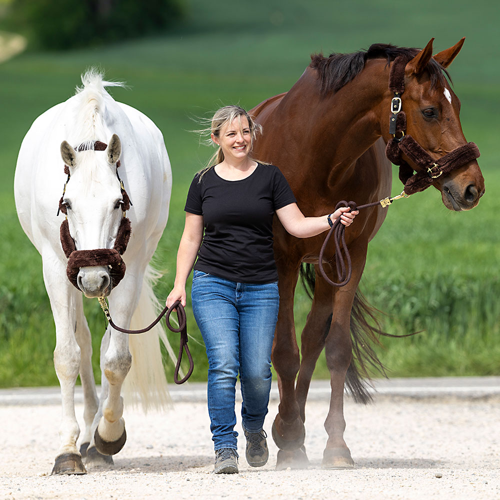 Physiotherapie Pferd