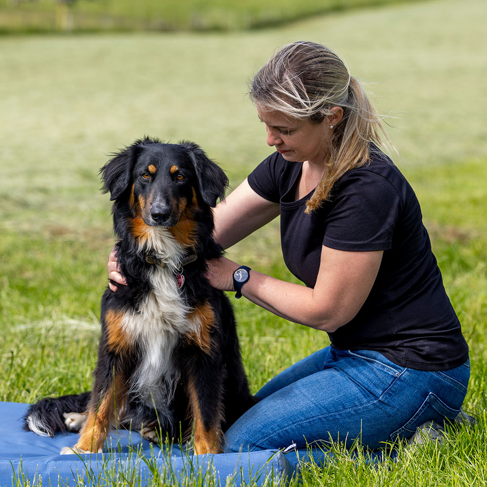 Physiotherapie Hund
